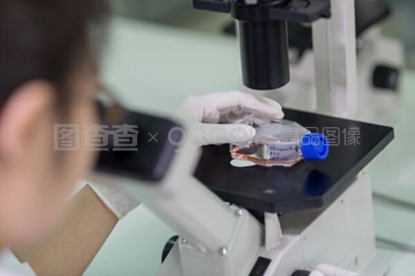 顯微鏡下的精微世界 技術(shù)人員如何通過(guò)試樣檢測(cè)保障質(zhì)量